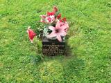 image of grave number 112885
